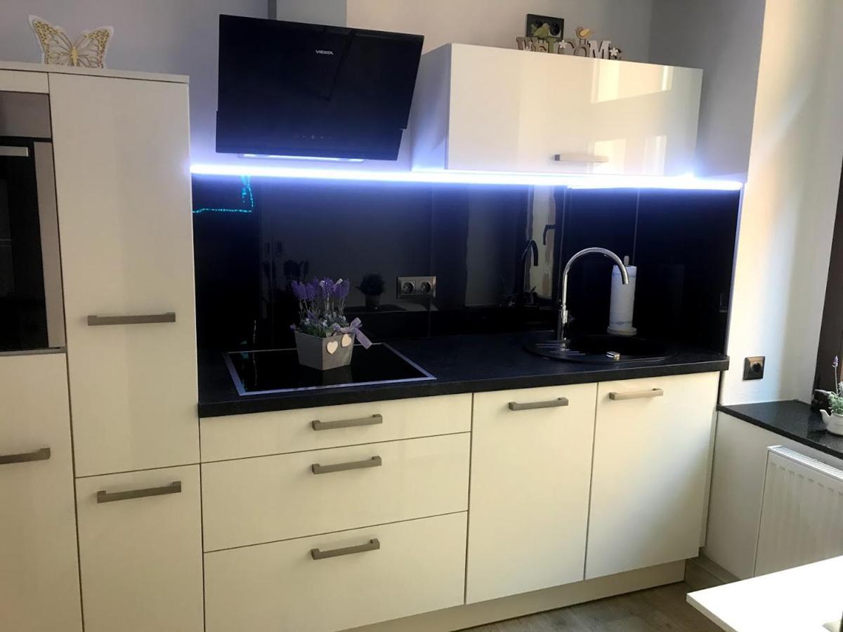 Salzhausblick Business Apartments - Zentrale Lage Am Salzhaus - Mwst-Rechnung Verfuegbar Zittau Cameră foto