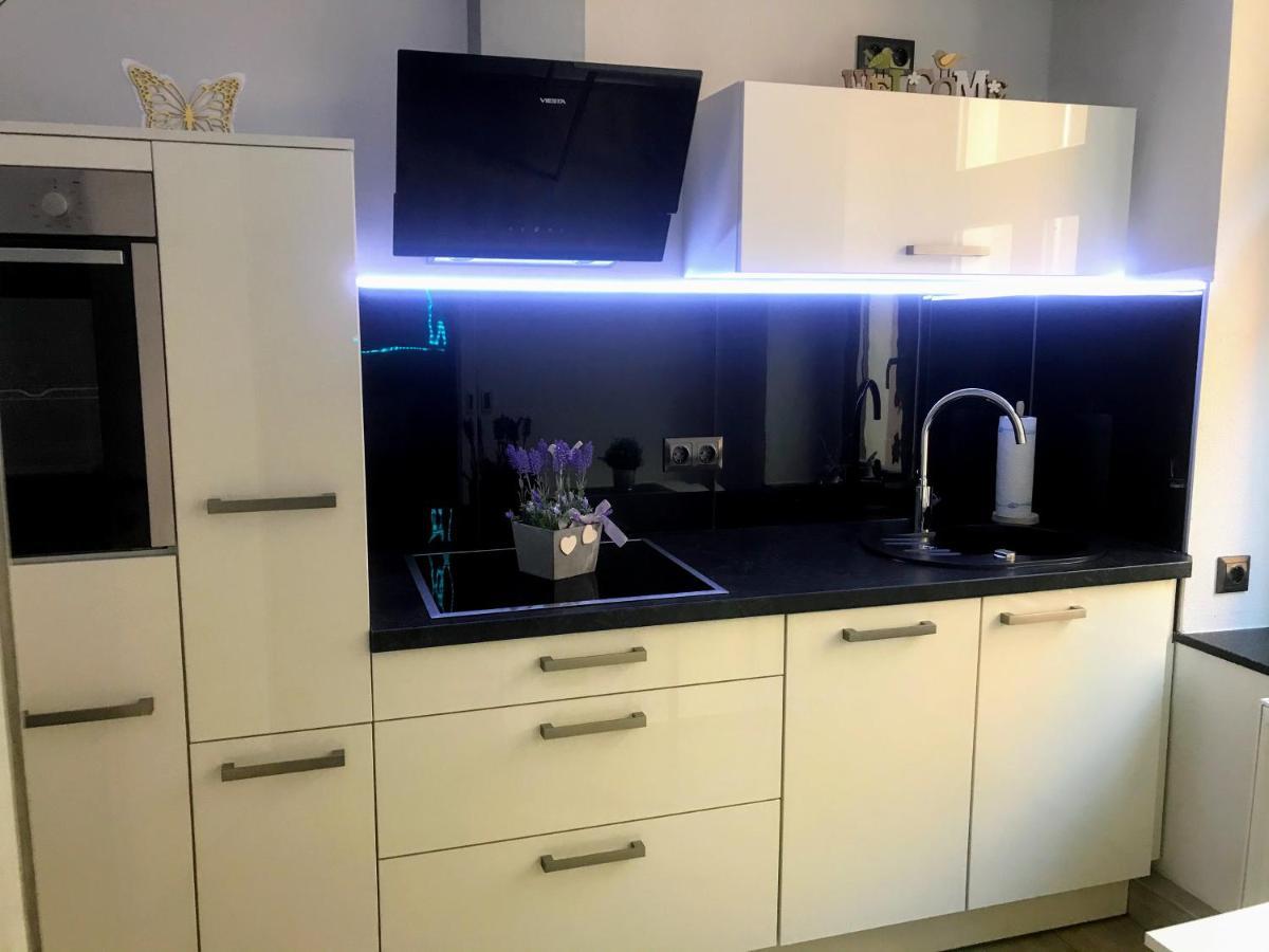 Salzhausblick Business Apartments - Zentrale Lage Am Salzhaus - Mwst-Rechnung Verfuegbar Zittau Cameră foto