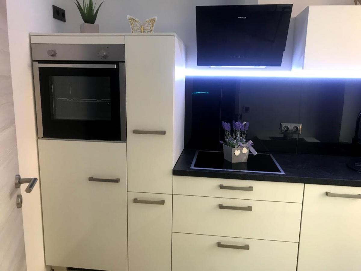 Salzhausblick Business Apartments - Zentrale Lage Am Salzhaus - Mwst-Rechnung Verfuegbar Zittau Cameră foto
